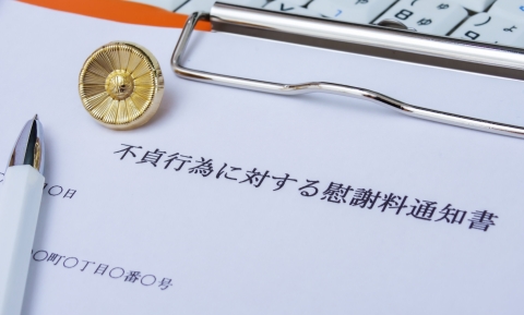 慰謝料請求プラン