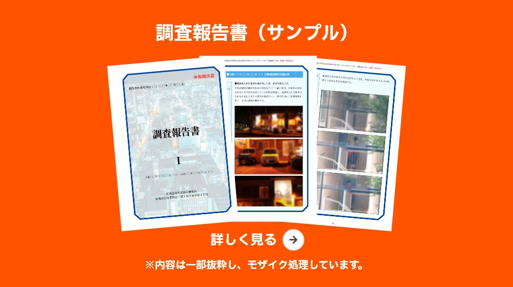 調査報告書